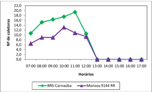 FIGURA 2: Atividade das abelhas Apis mellifera L. nas cultivares BRS-Carnaúba (flor branca) e Monsoy  9144 RR (flor roxa) ao longo do dia, em Limoeiro do Norte, Ceará
