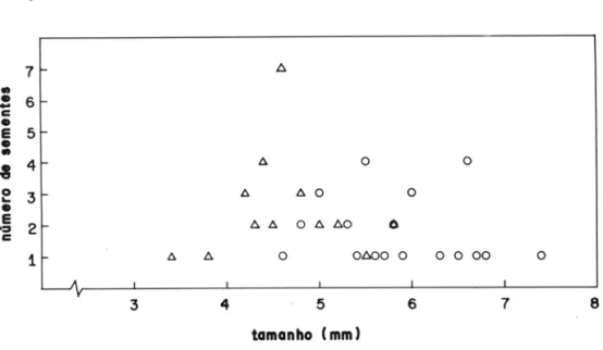 Figura 1 - Relação e ntre número e tamanho (mm) de sementes predadas (O) e não predadas (6 )  emBauhinia 
