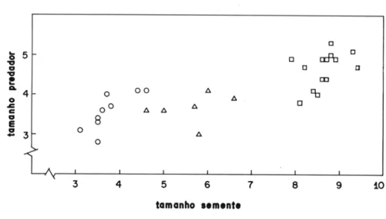 Figura 2 - Relação entre  tamanho de  predadores e tamanho  de sementes  (mm)  de  Mimosa  somnias  (O) , 