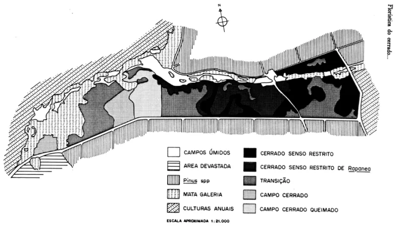 Figura  2  - A vegetação  da  Reserva  Biológica  de  Moji  Guaçu  (22°15'-16'8  e  47°08'-12'W,  585-635m  de  altitude),  Estado  de  São  Paulo