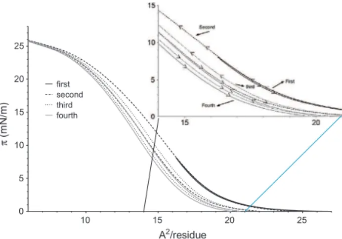 Fig. 9. Hysteresis cycle of p –A isotherms of zein molecules extends in the air/water interface.