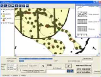Figure 2 - RENalyzer during visual comparison process 