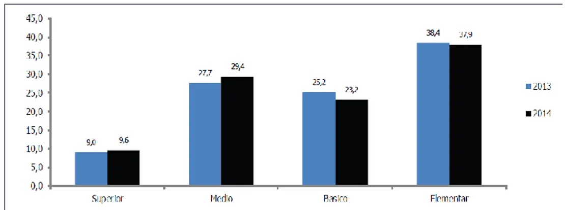 Figura 5 - Distribuição percentual do pessoal do serviço nacional de saúde, por nível  de escolaridade, Moçambique 2013-2014 