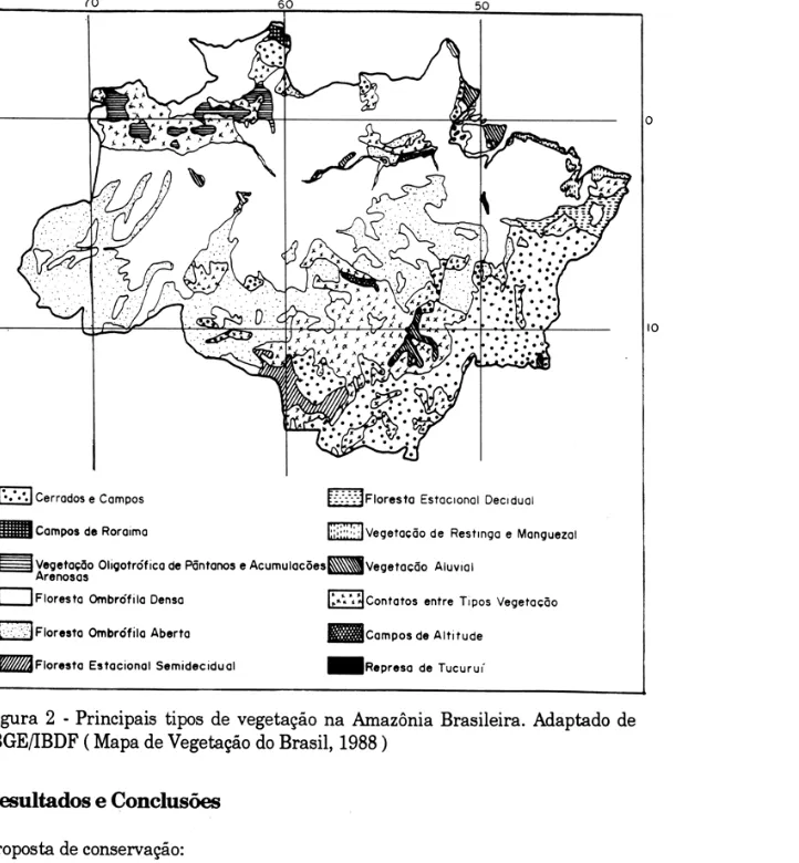 Figura  2  - Principais  tipos  de  vegetação  na  Amazônia  Brasileira.  Adaptado  de  IBGE/lBDF (Mapa de Vegetação do Brasil,  1988 ) 