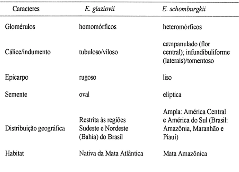 Tabela 1 - Comparação dos caracteres diferenciais entre  E.  glaziovii  e E.  schomburgkii 