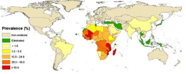 Figura 2  –  Distribuição da esquistossomose no mundo, estratificada de acordo com  estimativas de prevalência específicas de cada país 