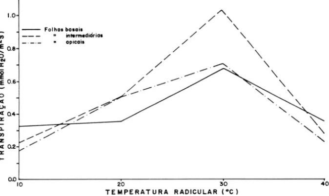 Figura 2  - Taxa de transpiração de plantas de cacau submetidas a diferentes temperaturas  na  região radicular