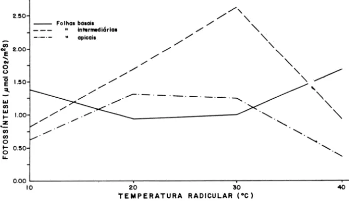 Figura 4  - Taxa  de  fotossÍntese  em  função  de  temperatura  radicular  em  folhas  basais,  intermediárias e apicais de plantas de cacau