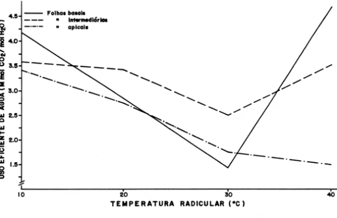 Figura 5  - Relação entre o  uso  eficiente de  água  e a  temperatura  da  região radicular em  folhas  basais, intermediárias e apicais de  plantas de cacau