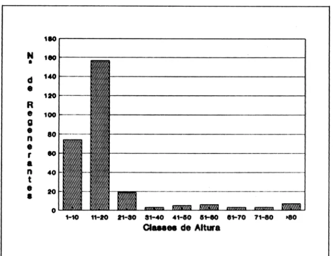 Figura 3  - Número de  regenerantes  de  C.  langsdorjJii  nas  diversas  classes de  altura,  em  mata de galeria no derrado