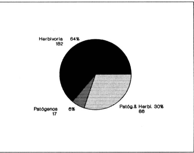 Figura 2  - Fatores bióticos atuando sobre as plântulas de C.  langsdorffii nas áreas de estudo 