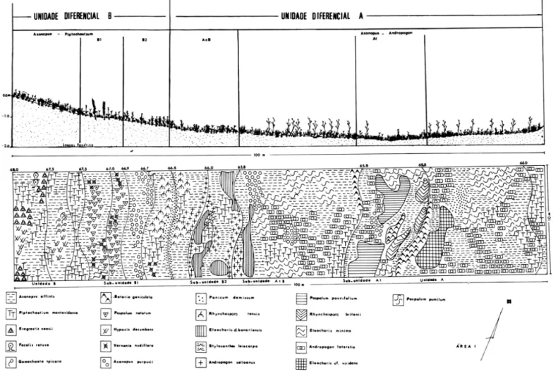 Figura 3 - Mapa  e perfil da  vegetação da  área  de  campo natural,  na  Mina  Recreio, Butiá  - RS