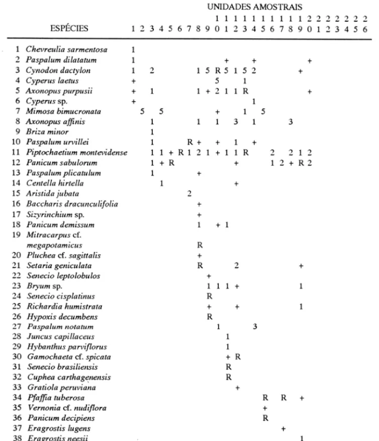 Tabela  7  - Abundância  e  cobertura  das  38  espécies  registradas  nas  26  unidades  amostrais  na  área  m,  Mina  Recreio,  Butiá  - RS, estimada  pela  escala de  abundân-cia  e cobertura  de  Braun-Blanquet (1950)