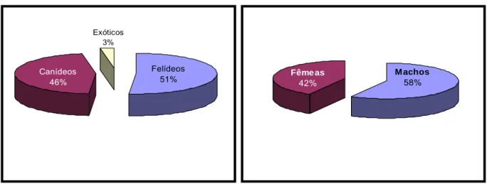 Gráfico 1: Percentagem relativa das espécies e géneros admitidos ao HVSB, respectivamente