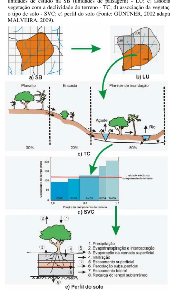 FIGURA 1 -  Hierarquia  da  modelagem  espacial  do  modelo  WASA:  a)  sub-bacia(SB);  b)  unidades  de  estudo  na  SB  (unidades  de  paisagem)  -  LU;  c)  associação  da  vegetação com a declividade do terreno - TC; d) associação da vegetação com  o t