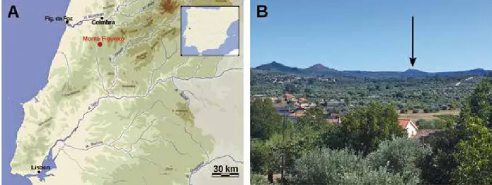 Fig. 1.  a ) Location of Monte Figueiró within Central Portugal;  b ) the mount where Monte Figueiró is located