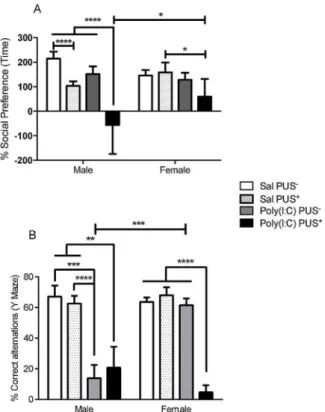 Fig. 3. Eﬀect of poly(I:C) and poly(I:C) + PUS on% social preference (A) and% correct alternations in the Y-maze task (B)
