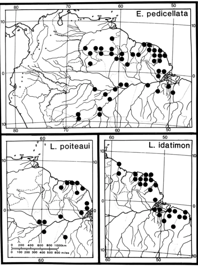 Figura 5  - Distribuição de espécies selecionadas de Lecythidaceae neotropicais. Esch- Esch-weilera pedicellata e Lecythis poiteaui estão distribuídas na maior parte ao  norte do  rio  Amazonas