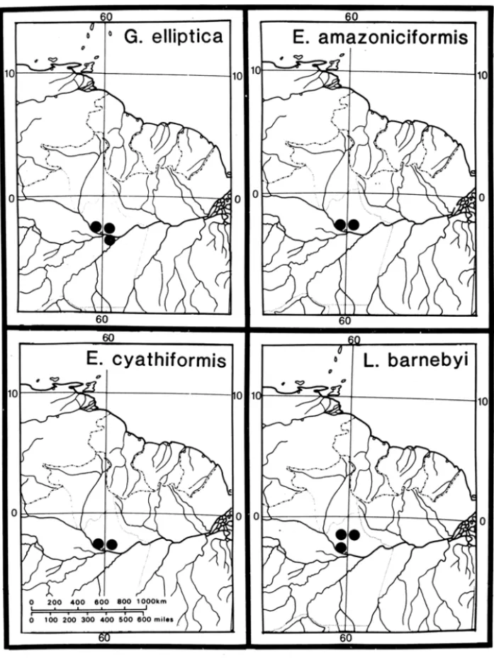 Figura 6  - Distribuição de Gustavia elliptica, Eschweilera amazoniciformis,  E.  cyalhi - -formis  e Lecythis barnebyi,  espécies selecionadas  de  Lecythidaceae  endêmicas  da 
