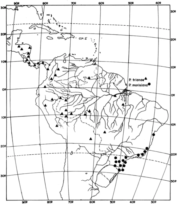 Figura 5  - Distribuição geográfica de  P.  morisiana  e  P.  trianae. 