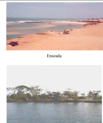 Figura 07 – Fotos de paisagens naturais da APA de Canoa Quebrada  Fonte: Projeto Canoa, 2002