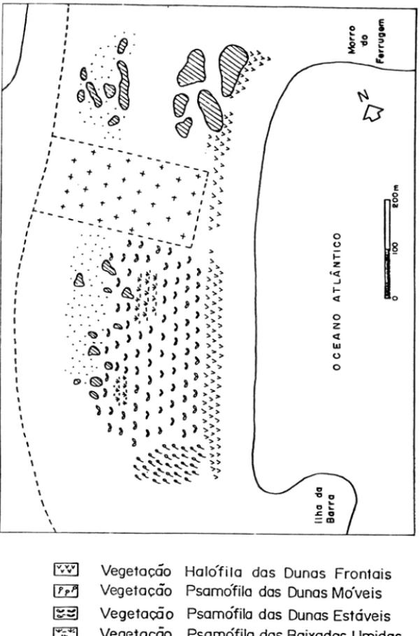 Figura 2  - Mapeamento da Vegetação da Praia do  Ferrugem,  se. 