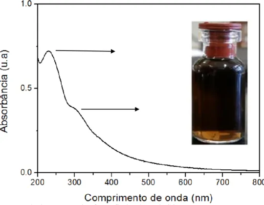 Fig, 14 Espectro de absorção UV-vis e fotografia da solução de GO. 