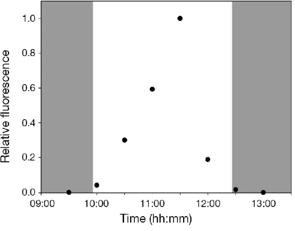 Figure 4. Variation of laser-induced relative fluorescence of microphytobenthos in a mud intertidal sediment  along a diurnal tidal cycle
