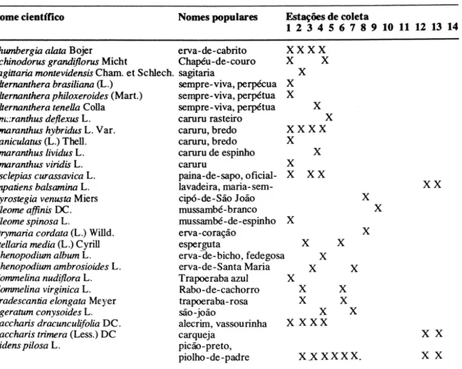 Tabela 2:  Lista das famílias e espécies encontradas nas 14 estações de coleta  Família  Acanthaceae  Alismataceae  Amaranthaceae  Asclepiadaceae  B alsaminaceae  B ignoniaceae  Capparidaceae  Caryophyllaceae  Chenopodiaceae  Commelinaceae  Compositae 