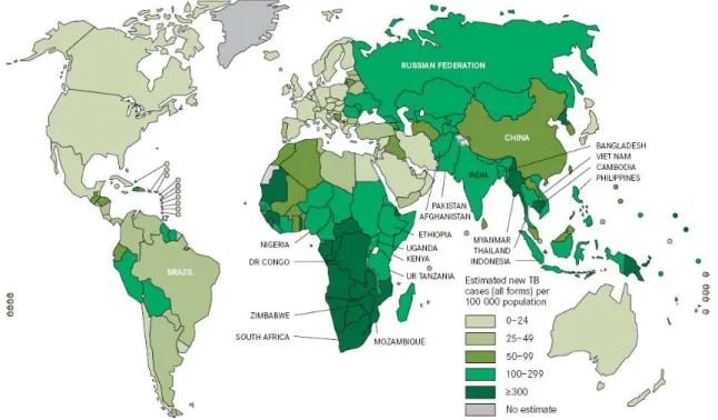 Figura 1  –  Incidência estimada de tuberculose por países em 2010. 
