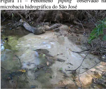 Figura  11  –  Fenômeno  “piping”  observado  na  microbacia hidrográfica do São José 