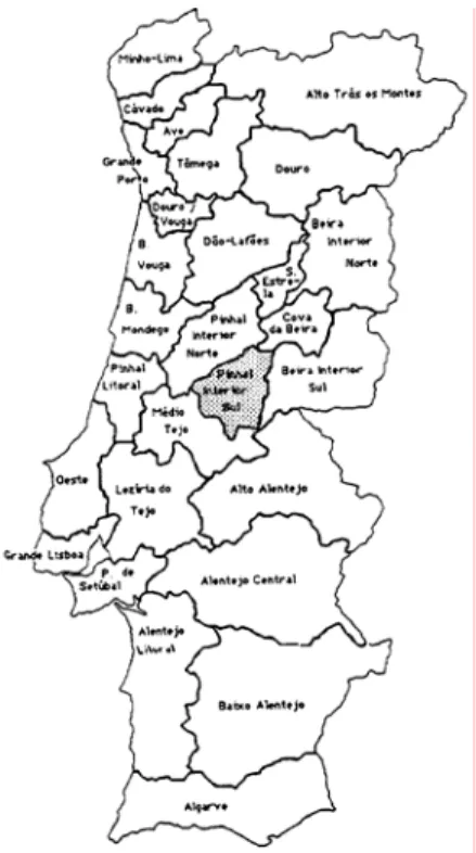 Figura 1 – Localização geográfica do Pinhal Interior Sul em Portugal Continental. 
