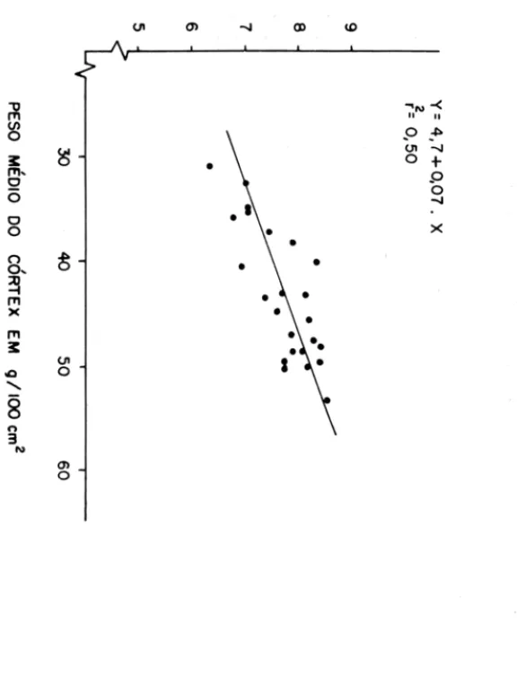 Figura  11  - Correlação  entre  a  água  absorvida  em  atmosfera  saturada  e o peso  seco do  córtex de  Schinopsis brasiliensis  Engl