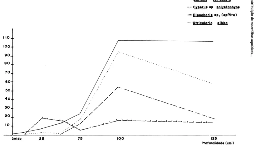 Figura 7 - Ocorrência  de  Salvinia  auriculata  e  respectivas  espécies  epífitas  em relação  a  profundidade, fazenda Nhumirim, Nhecolândia, Pantanal, out./1988