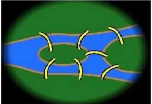 Figura 1: as pontes de K¨onisberg.