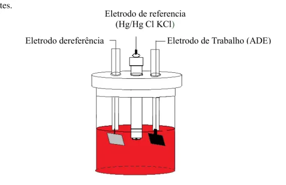Figura  7  –  Representação  esquemática  da  célula  eletroquímica  usada  na  eletrólise  dos  poluentes