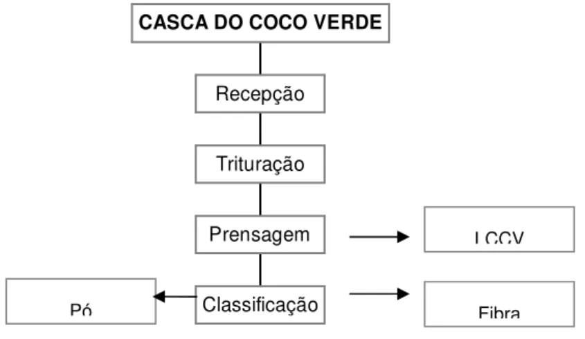 Figura 1 – Esquema simplificado do processo de aproveitamento da casca de coco verde LCCV 