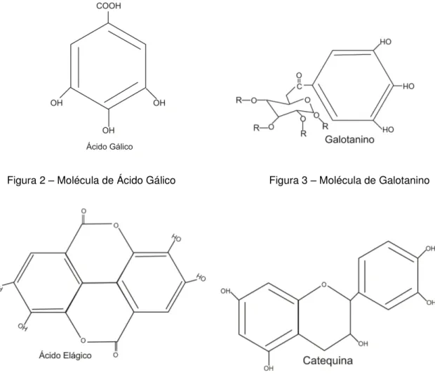 Figura 2 – Molécula de Ácido Gálico                                Figura 3 – Molécula de Galotanino 