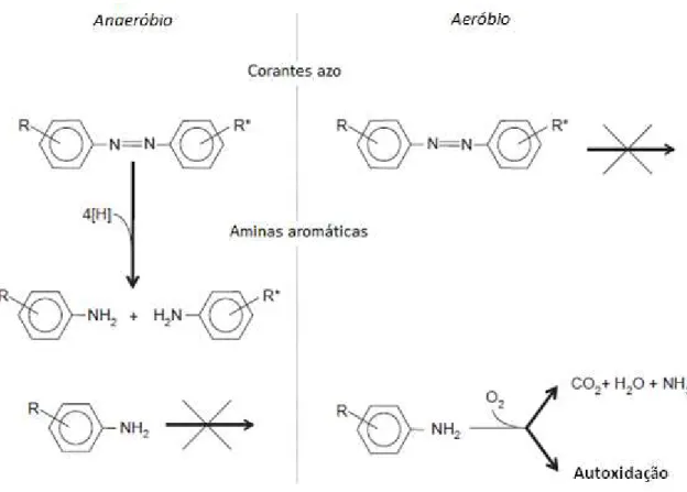 Figura 3.5: Visão geral da degradação dos corantes azo e aminas aromáticas durante o  tratamento anaeróbio-aeróbio