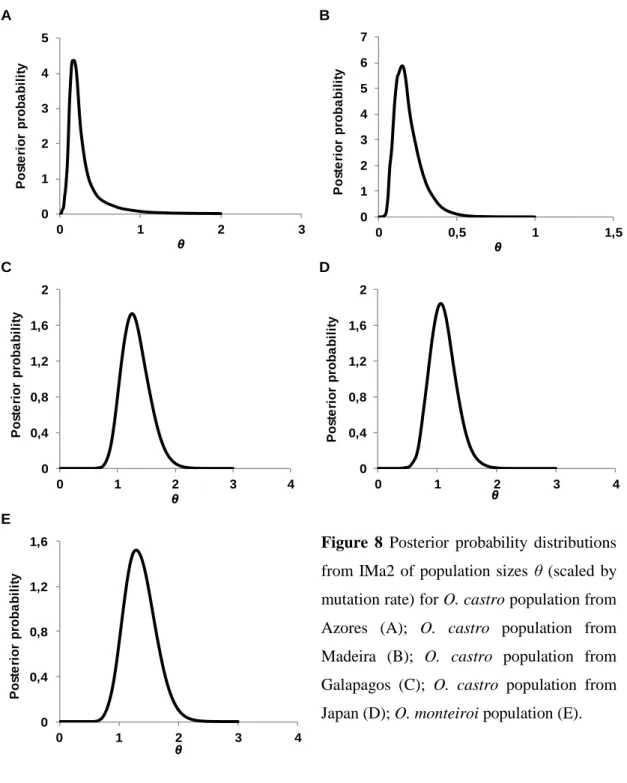 Figure  8  Posterior  probability  distributions  from  IMa2  of  population  sizes  θ  (scaled  by  mutation rate) for O
