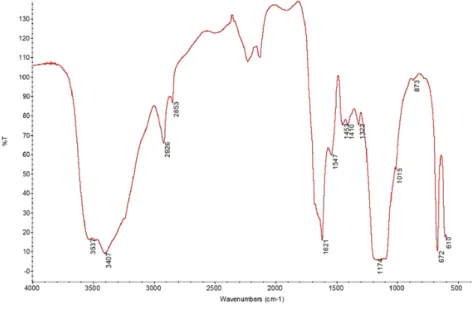Figure 11 - µ-FTIR spectrum obtained for the ground layer  from Saint Agatha’s pedestal (sample A3).