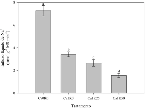 Figura  2.5 – Efeitos interativos da concentração  externa de  Ca 2+  e K +  sobre o influxo líquido de Na +  nas  raízes  de  feijão caupi