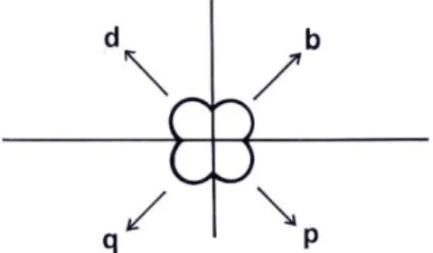 Fig. 5 – Relações nocionais verticais, horizontais, esquerdas e direitas. 