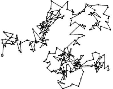 Figura 6: A figura acima mostra a trajet´oria de uma part´ıcula sub- sub-metida a um movimento irregular(movimento browniano), o movimento de part´ıculas do tipo SPP podem ser simuladas com movimento browniano