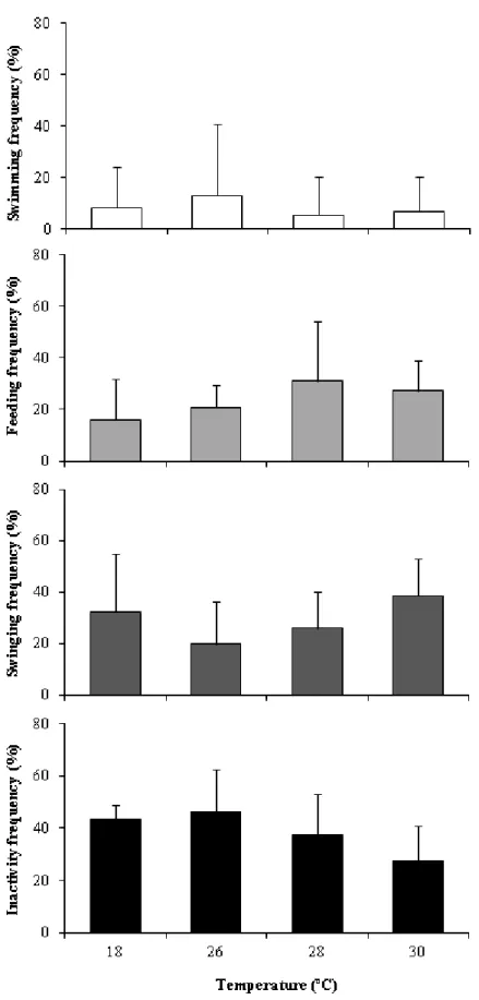 Figure  6.  Impact  of  environmental  warming  in  the  behavioral  patterns  (%)  of  adult  seahorses,  Hippocampus guttulatus: A) swimming frequency, B) feeding frequency, C) swinging frequency, and D)  inactivity  frequency