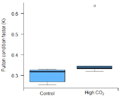 Figure  3.1.  Effects  of  elevated  pCO 2   ( Δ  pCO 2   ~  500  µatm )  on  Fulton  condition  of  juvenile  bamboo  sharks  (Chiloscyllium plagiosum)