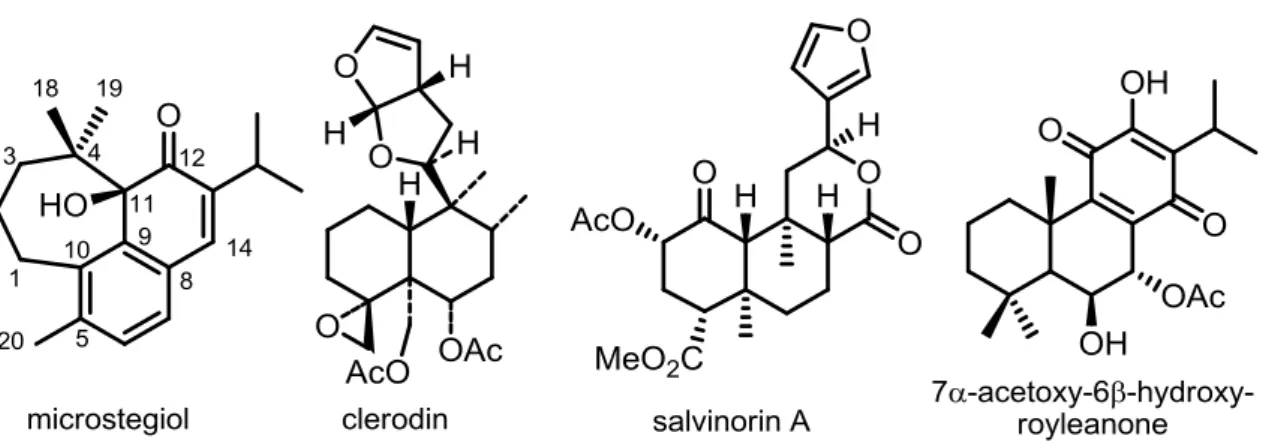 Figure I.2. Chemical structures of diterpenes microstegiol, clerodin, salvinorin A  and 7α-acetoxy-6β-hydroxyroyleanone