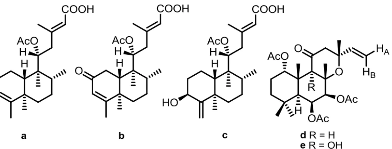 Figure  I.5.  Chemical  structures  of  neoclerodane  diterpenoids  (a,  b  and  c)  and  two labdane derivatives isolated from P