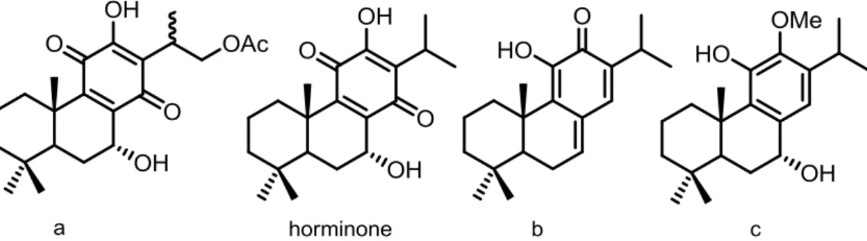 Figure I.17. Chemical structures of abietanes a, b, c and horminone (Gibbons S.,  2004)