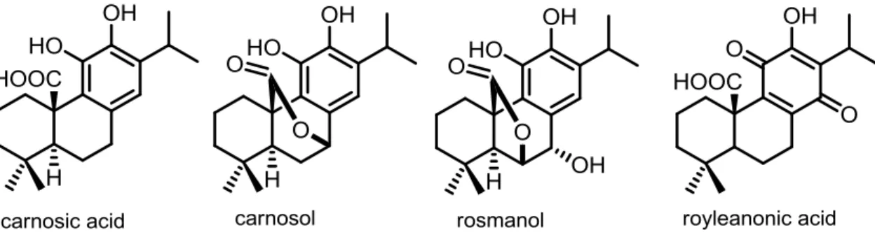 Figure I.21. Chemical structures of carnosic acid, royleanonic acid, carnosol and  rosmanol